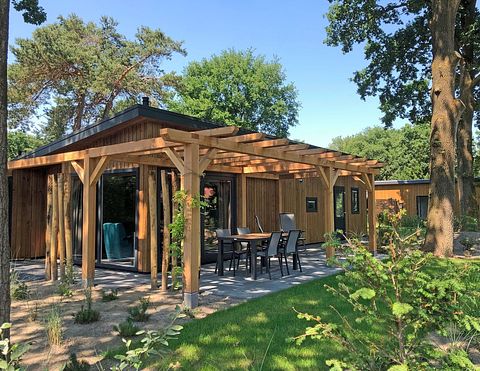 Wellness lodge (4p) op de Veluwe - 4