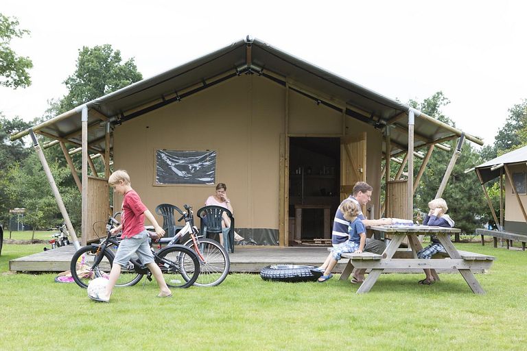 Glamping tent on family campsite near Veluwe - 1