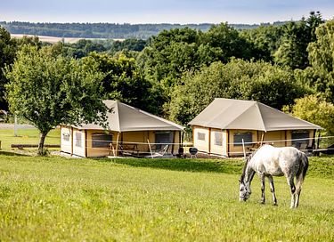 Glamping dans une ferme équestre et laitière - 25
