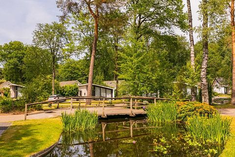 Komfortables 4-Personen-Haus in Overijssel - 2