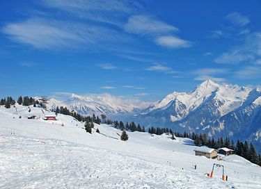 Vakantiehuis in Mayrhofen (Tirol) - 12