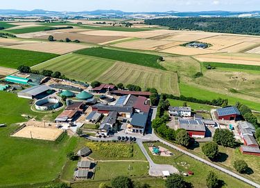 Glamping dans une ferme équestre et laitière - 2