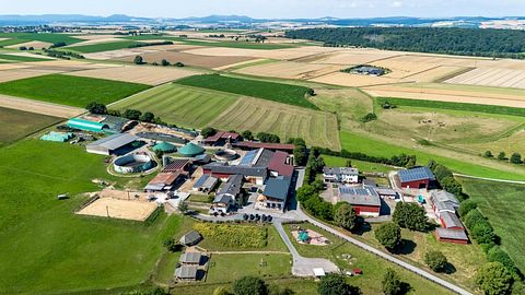 Glamping dans une ferme équestre et laitière - 2