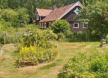 Gemütliches schwedisches Landhaus in Drenthe - 25