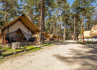 Luxury glamping tent in nature (6p) - 3