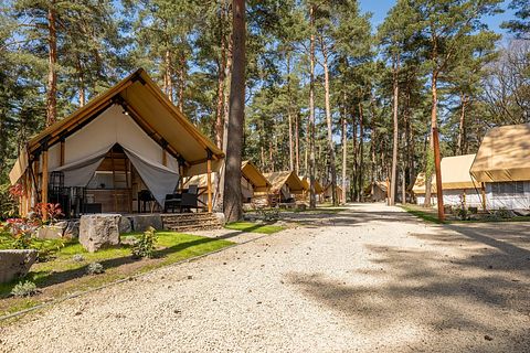 Luxury glamping tent in nature (6p) - 3