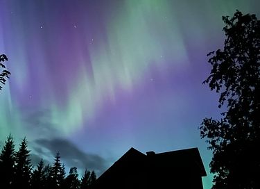Off-grid Cabin in the middle of Swedish nature - 20