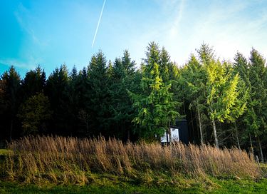 Luxury treehouse with sauna in the Ardennes - 18