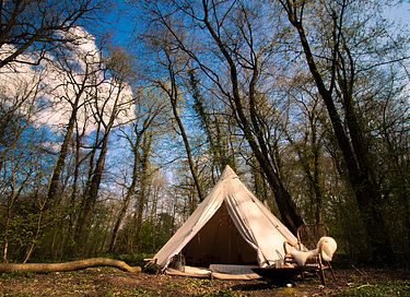 Glamping in de natuur met meditatie/yoga - 10