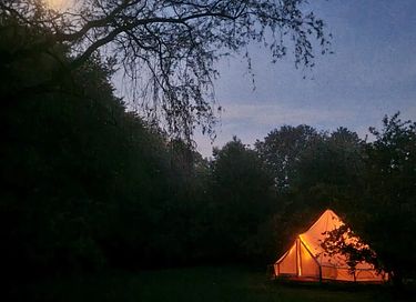 Glamping tent in the Belgian countryside - 3