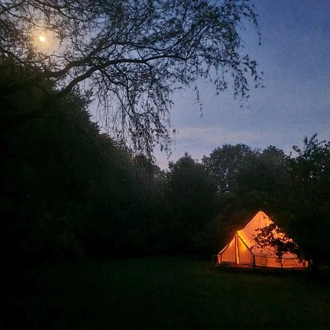 Glamping tent in the Belgian countryside - 3