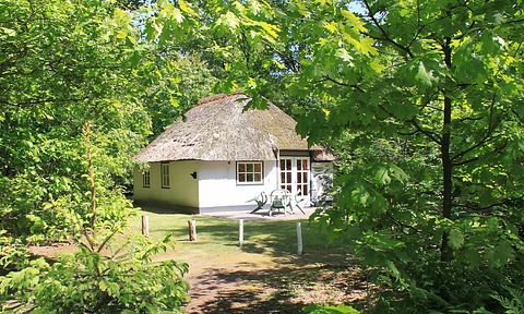 Boshuisje in Noord-Brabant - 2