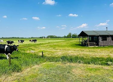 Übernachten inmitten der Kühe in Groningen - 2
