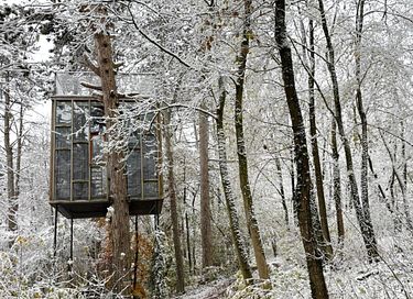 Overnight among the trees in glass cabin - 19