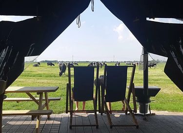 Tent cabin (sleeps 6) in the Groningen countryside - 20