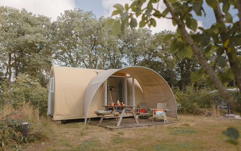 Cozy glamping tent in the middle of the forest - 1