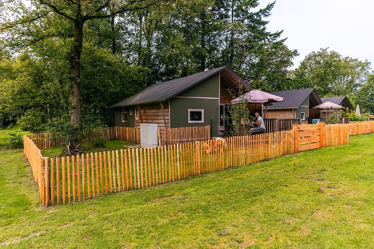 Unique stay in Drenthe (dogs allowed) - 1