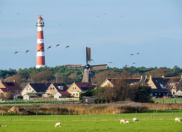 Cozy cottage with panoramic view on Ameland - 3