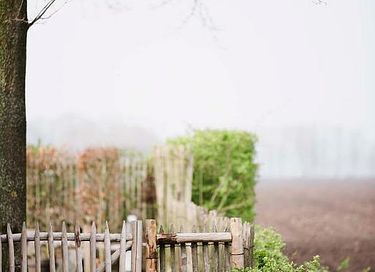 Knusse B&B in Drenthe met zwembad  - 16