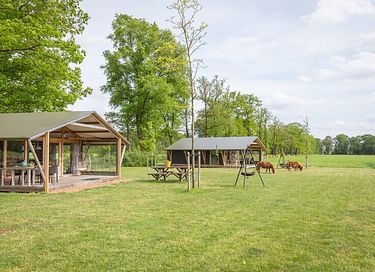 Luxe familielodge met hottub in Twente - 6