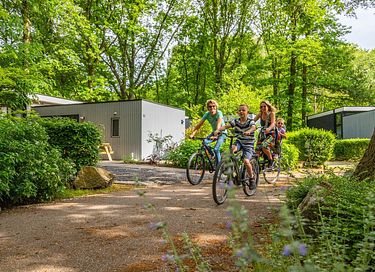 Luxe glampingtent in de Limburgse bossen - 9