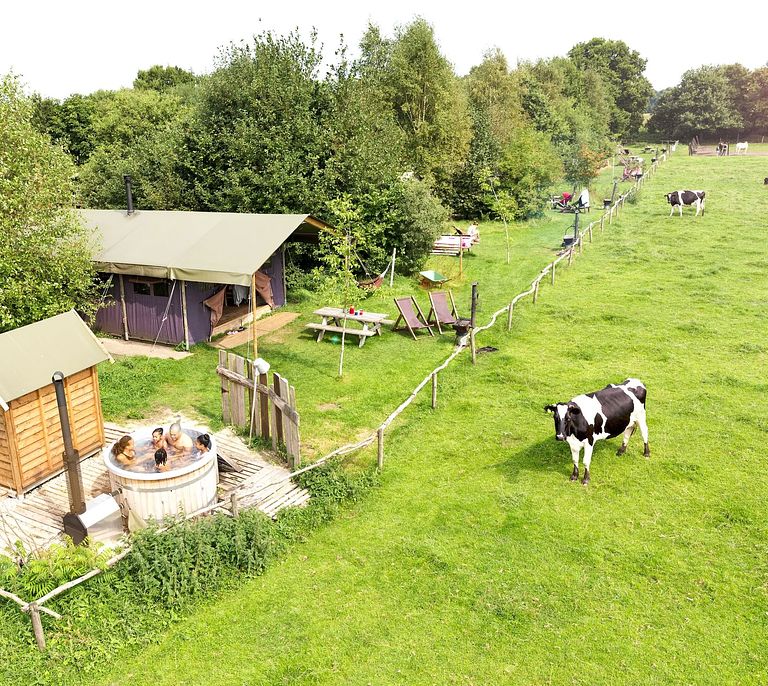 Zelt-Ferienhaus mit Whirlpool auf einem Bauernhof in Drenthe - 1