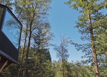 A unique overnight stay among the trees - 10