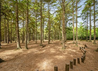 Groepsverblijf in een schitterende omgeving - 8