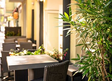 Un acogedor hotel boutique en Berlín  - 2