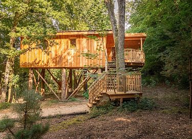 Treehouse (2p) in the Ardennes with wellness - 2