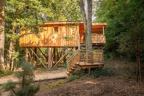 Treehouse (2p) in the Ardennes with wellness - 2