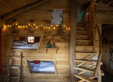 Prachtige boomhut in de Belgische natuur - 8