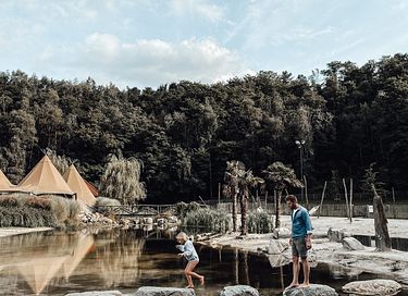 Forest cabin in Belgium with hot tub - 11