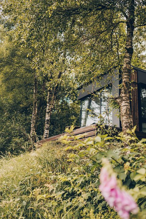 Romantische Hütte für 2 Personen am Rande des Waldes - 2