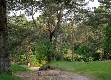 Lodge en pleine nature dans un parc de vacances accueillant - 34