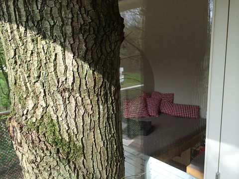 Familienbaumhaus - 4