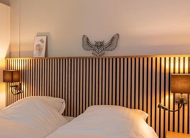 Child-friendly forest cabin in Drenthe - 13