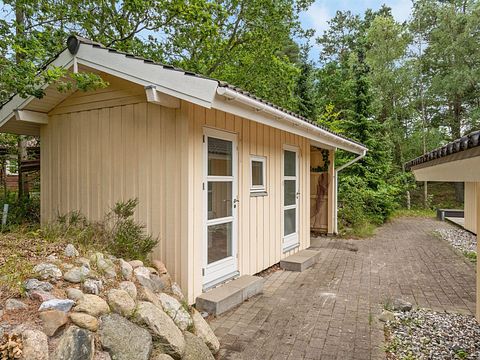 Boshuisje met sauna en dicht bij zee  - 3