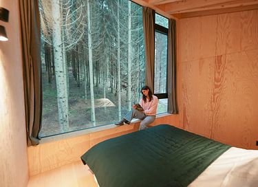 Special overnight stay among the trees - 10