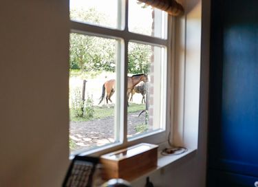 Sfeervolle B&B met uitzicht op paardenweide - 8
