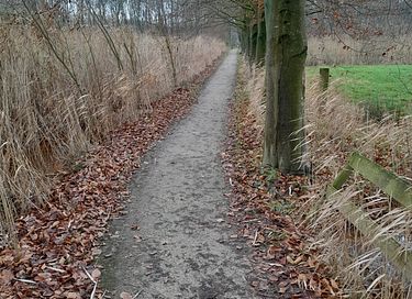 Natuurhuisje met sauna en buitenkachel - 30