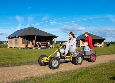 Glamping at Dairy Cattle & Calves Farm - 2