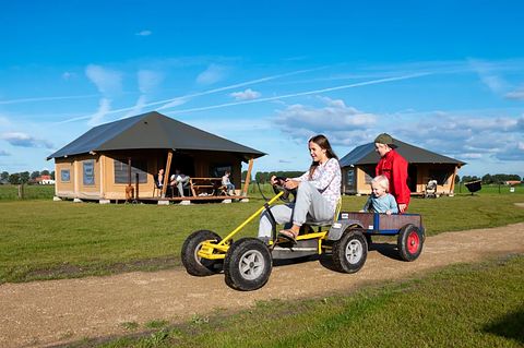 Glamping at Dairy Cattle & Calves Farm - 2