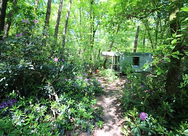 Roulotte tzigane dans les bois avec cheminée - 34