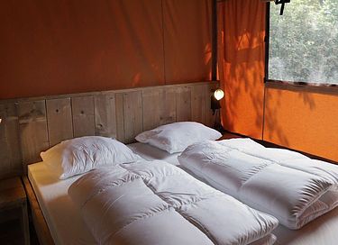 Luxury camping at a park in North Holland - 4