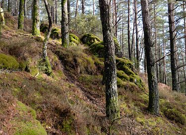 Se détendre et profiter de la nature en France - 31