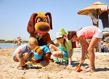 Leuke familiecamping aan het water in Zeeland - 49