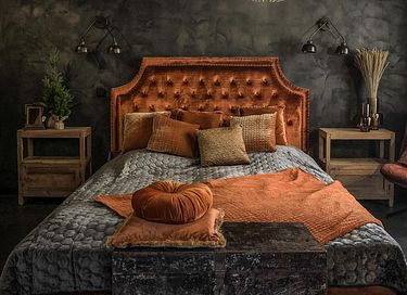 Luxe en mooi ingerichte B&B op de Veluwe  - 1