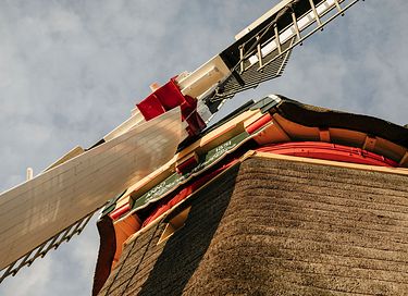 Uniek vakantiehuisje onder de molen - 26