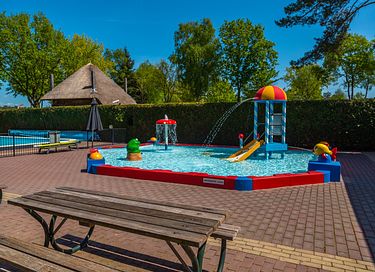 House (6p) on the Veluwe (dog allowed) - 20